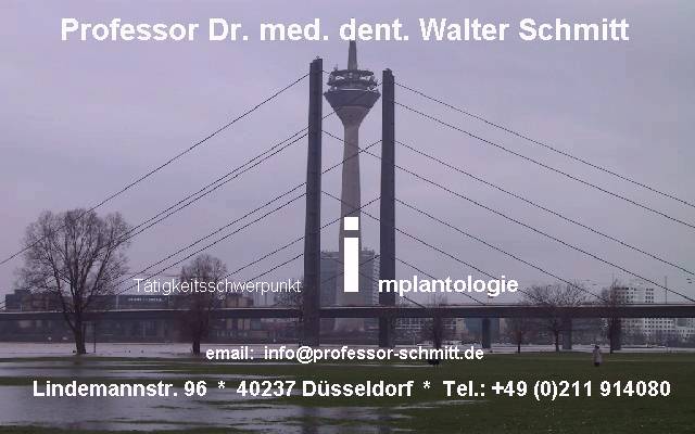 Prof. Dr. W. Schmitt